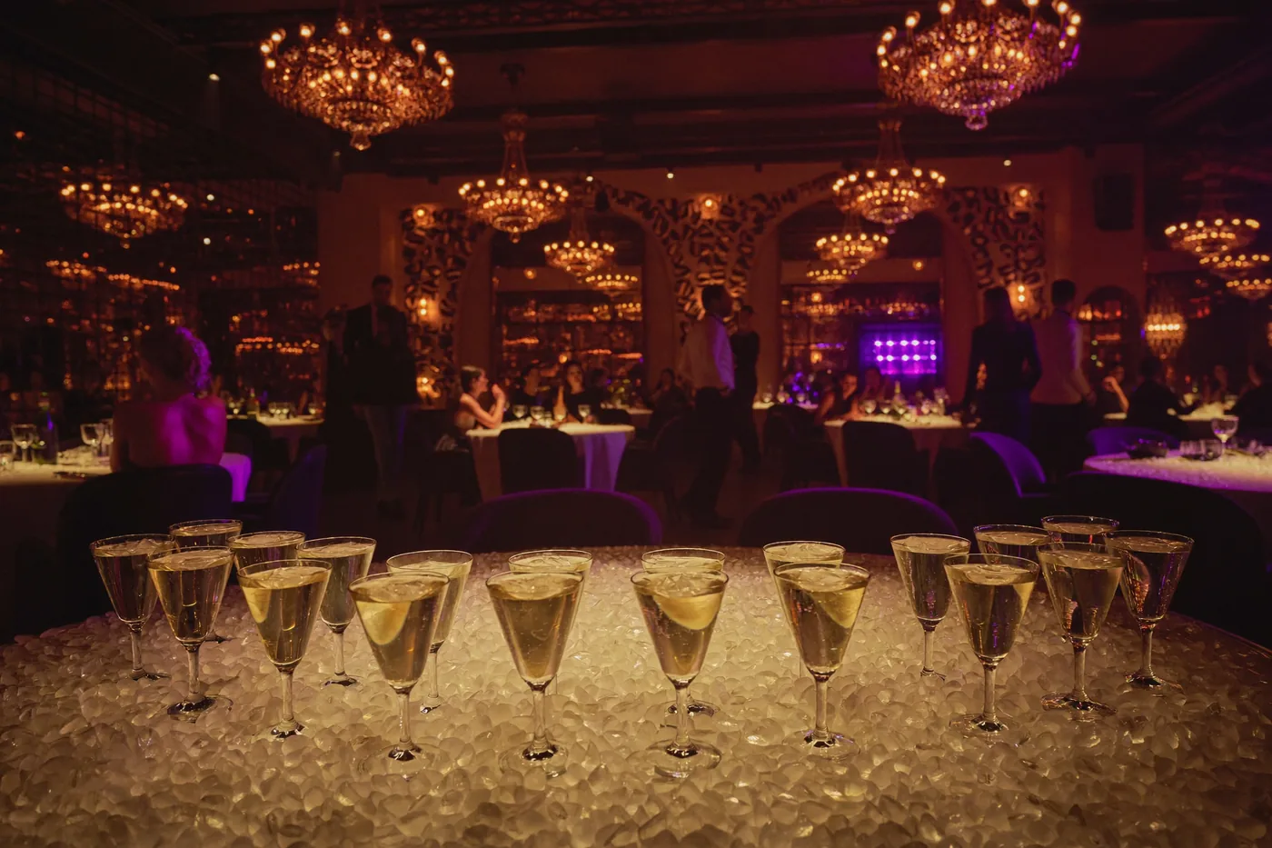 Optional VIP Nightlife