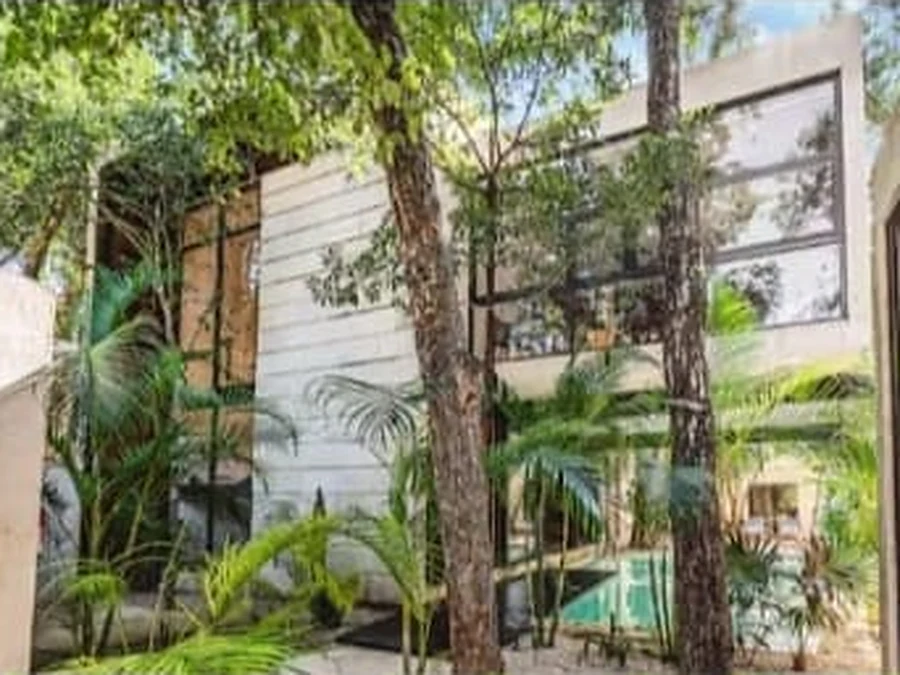 Glass facade of the villa surrounded by palms