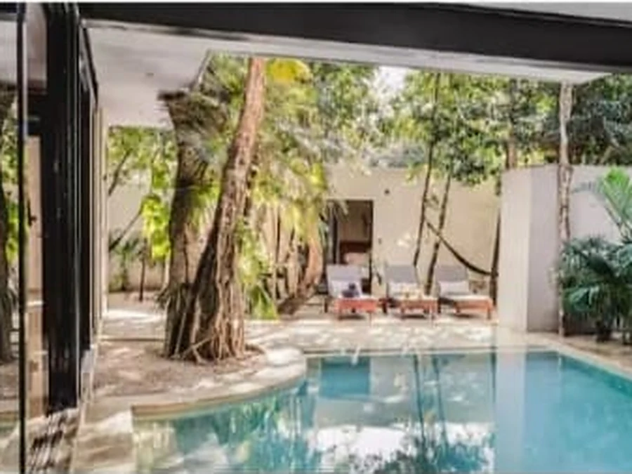 Loungers by the pool under the trees